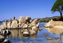 中国女排今天比赛直播看点有哪些？